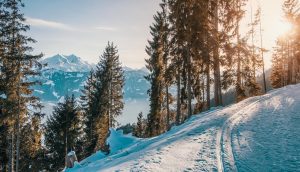 montaña mont rebei nieve